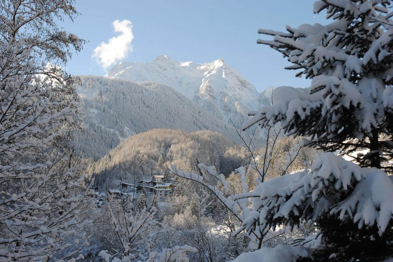 Ferienhof Oblasser Mayrhofen Zewnętrze zdjęcie